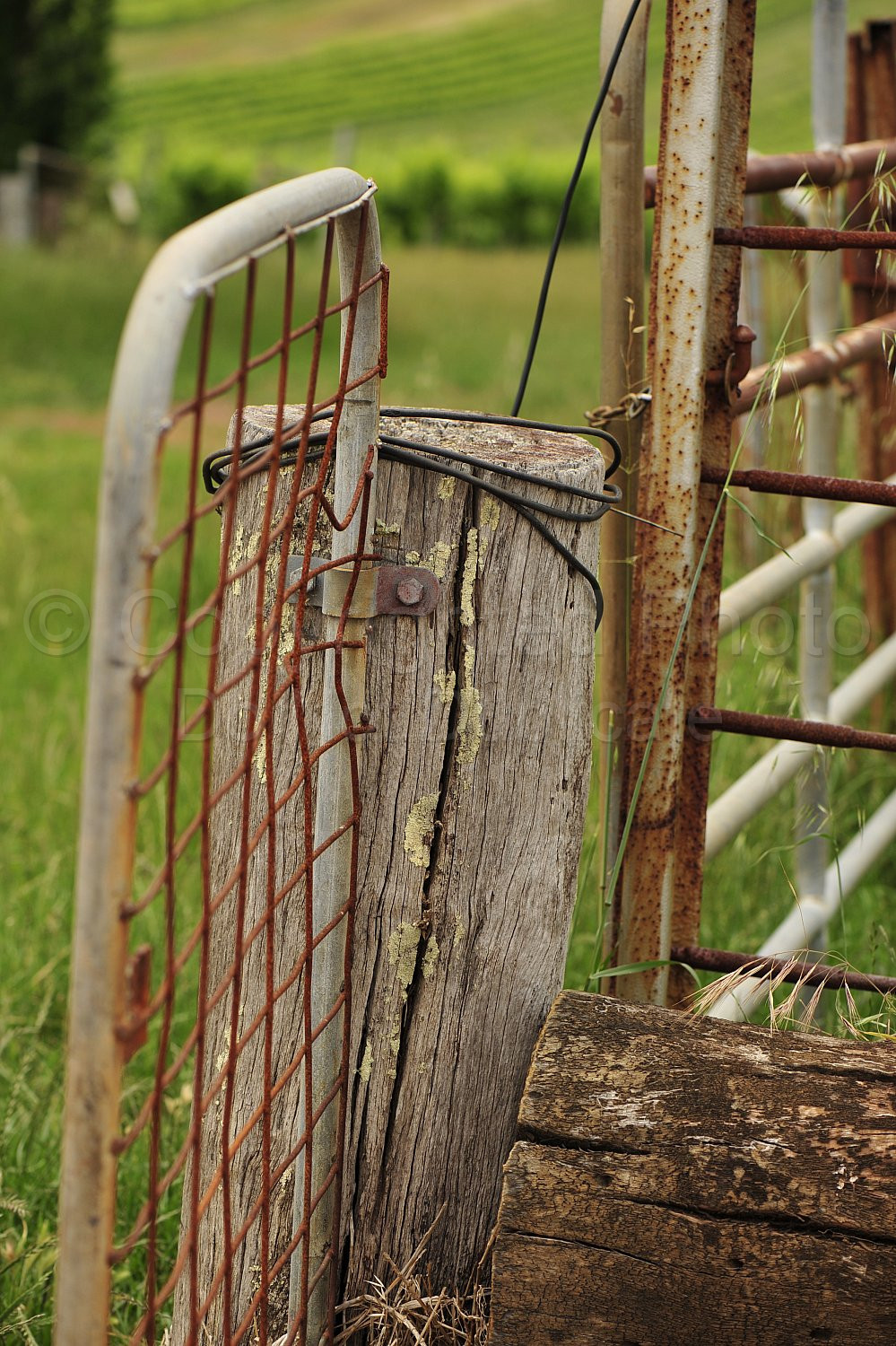 Farm gate