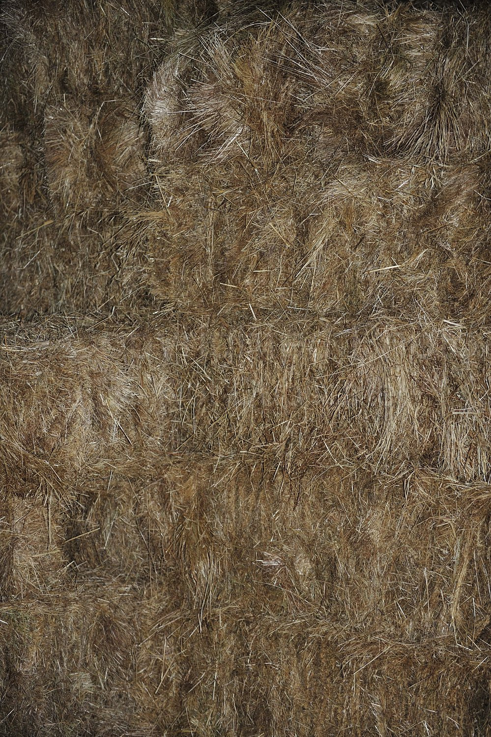 Hay Bales