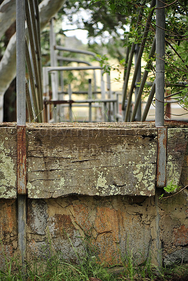 Vineyard wall