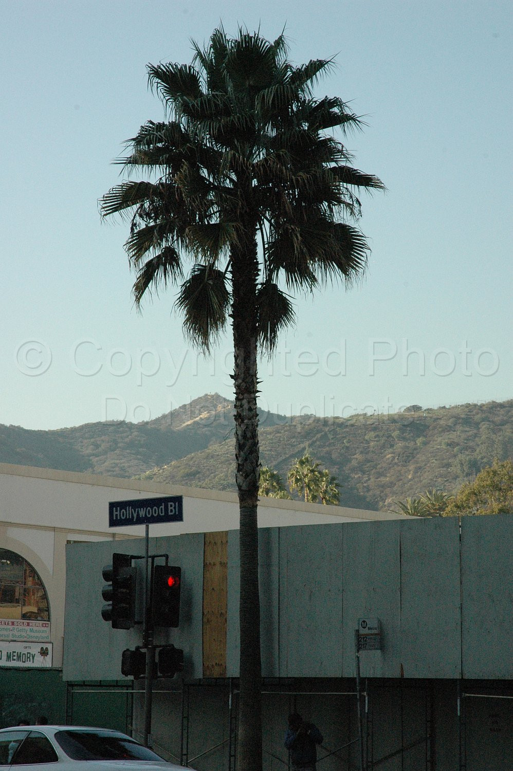 Hollywood USA