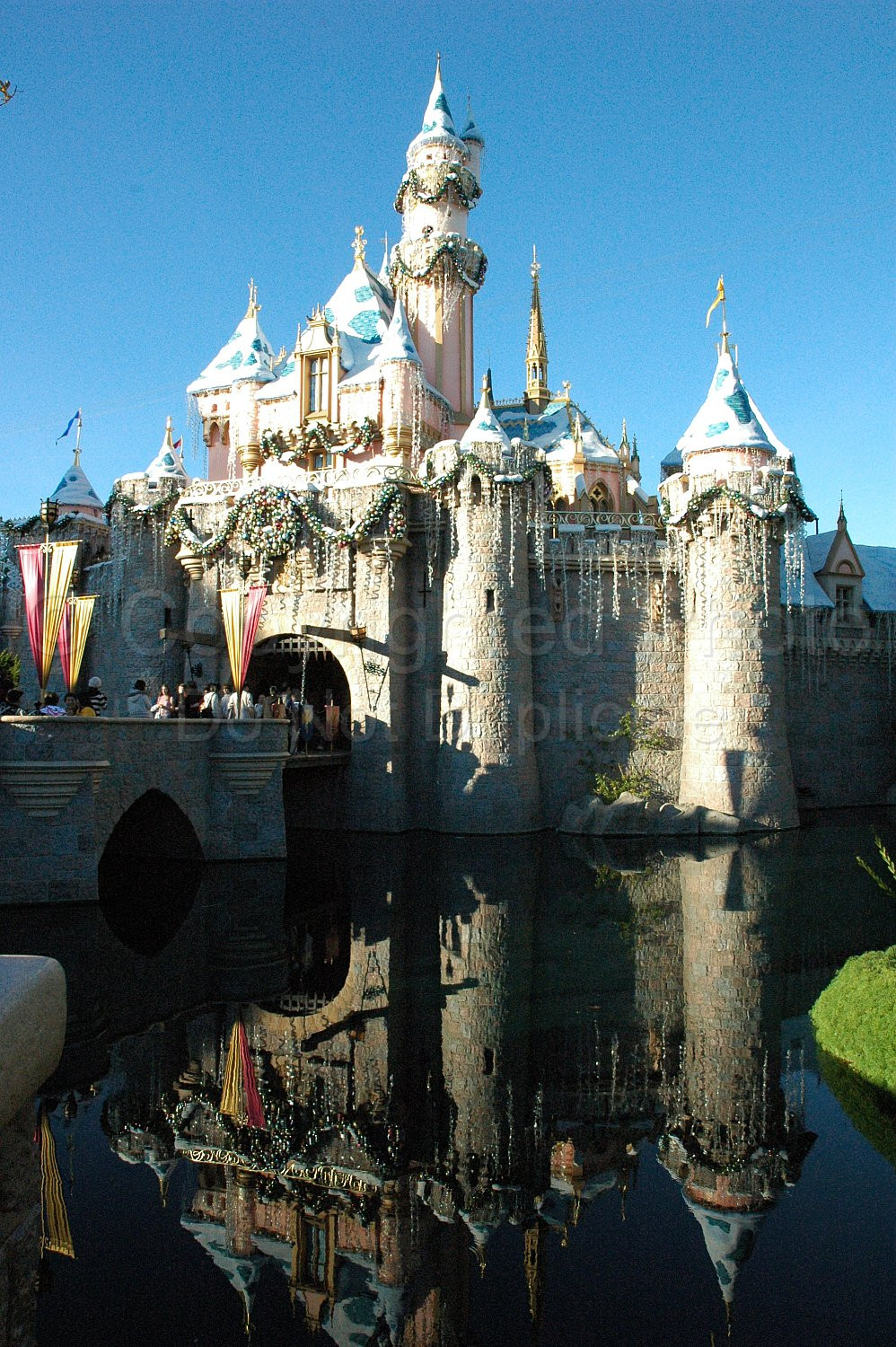 Disneyland Castle