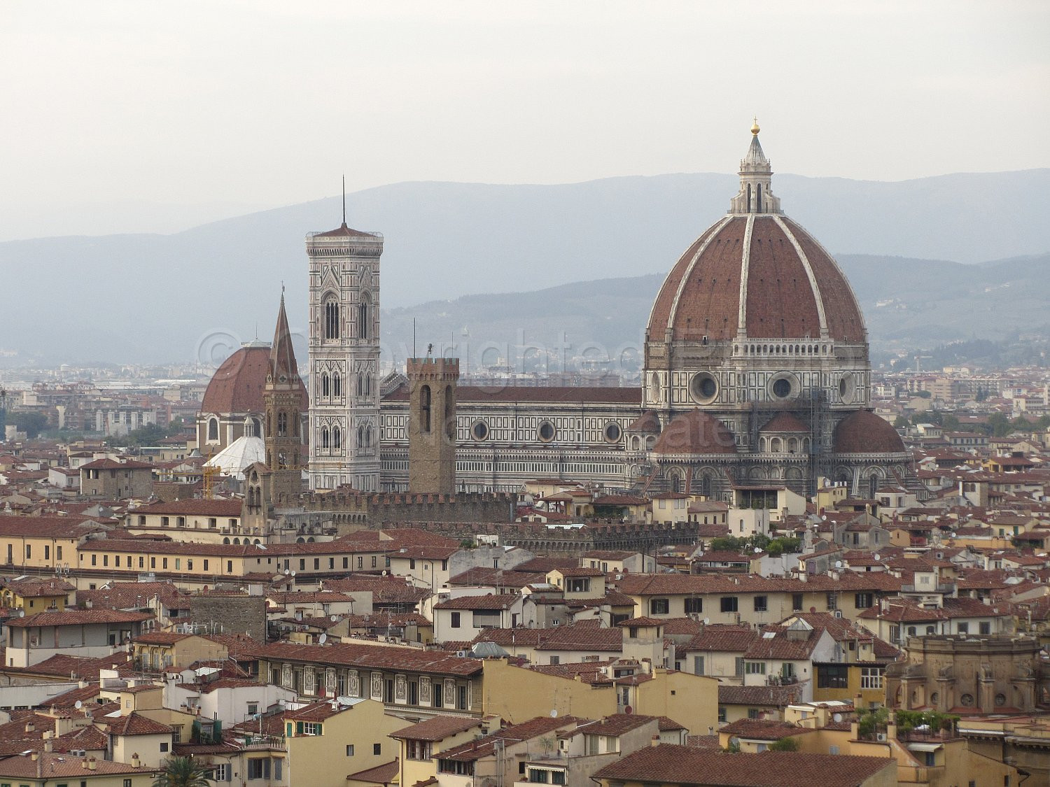 Florence