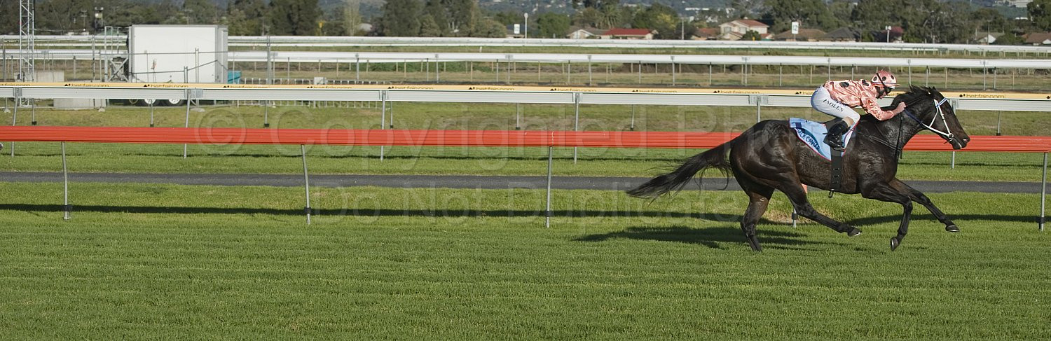 Black Caviar