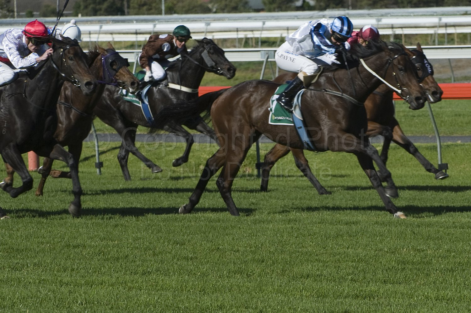 Morphettville Races