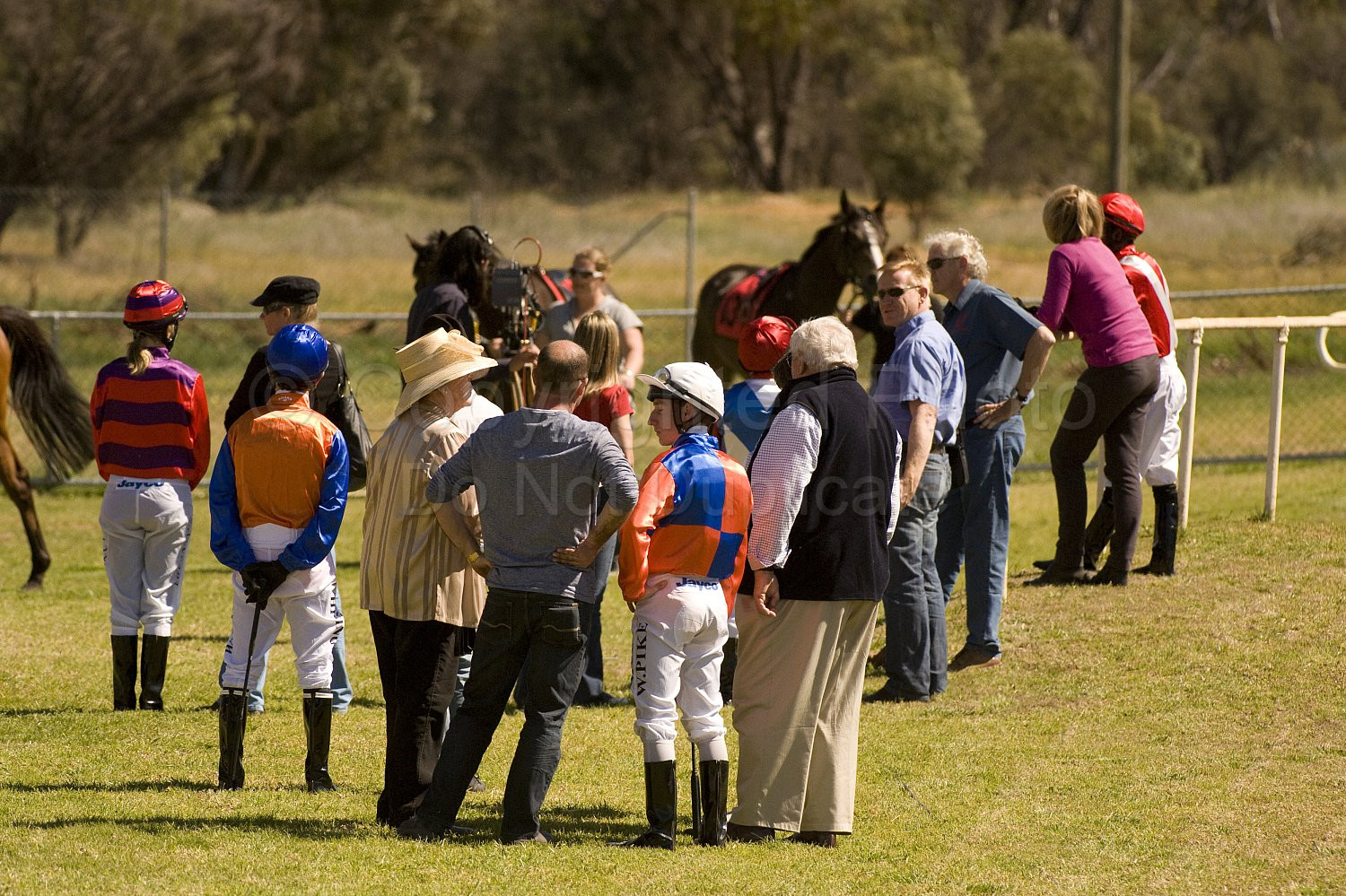 Western Australia, horse, horse racing, racing, york