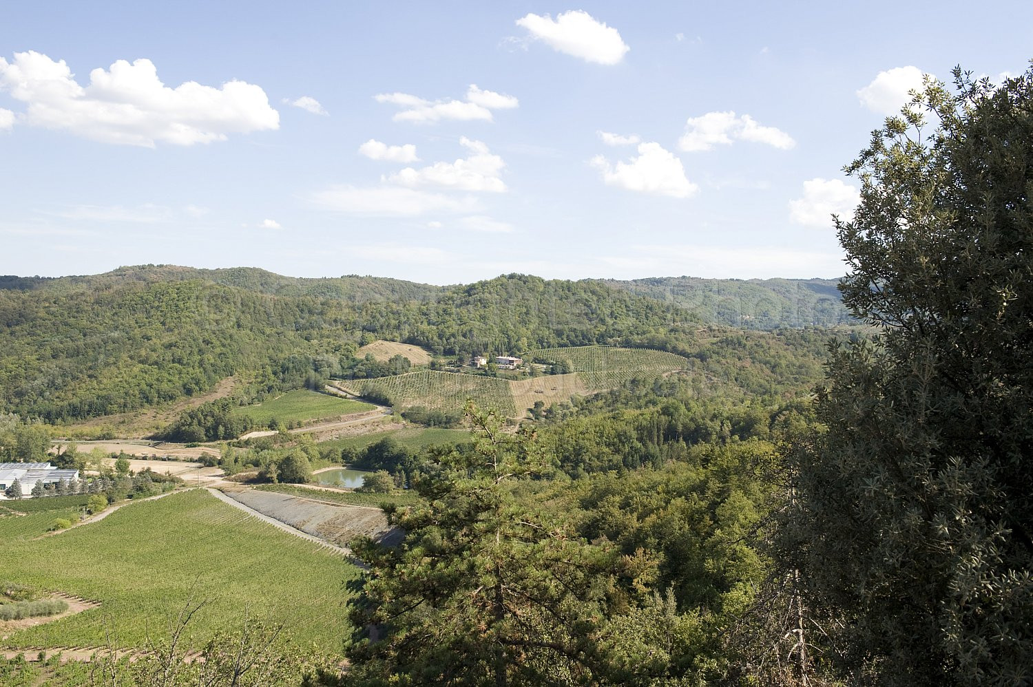 Florence