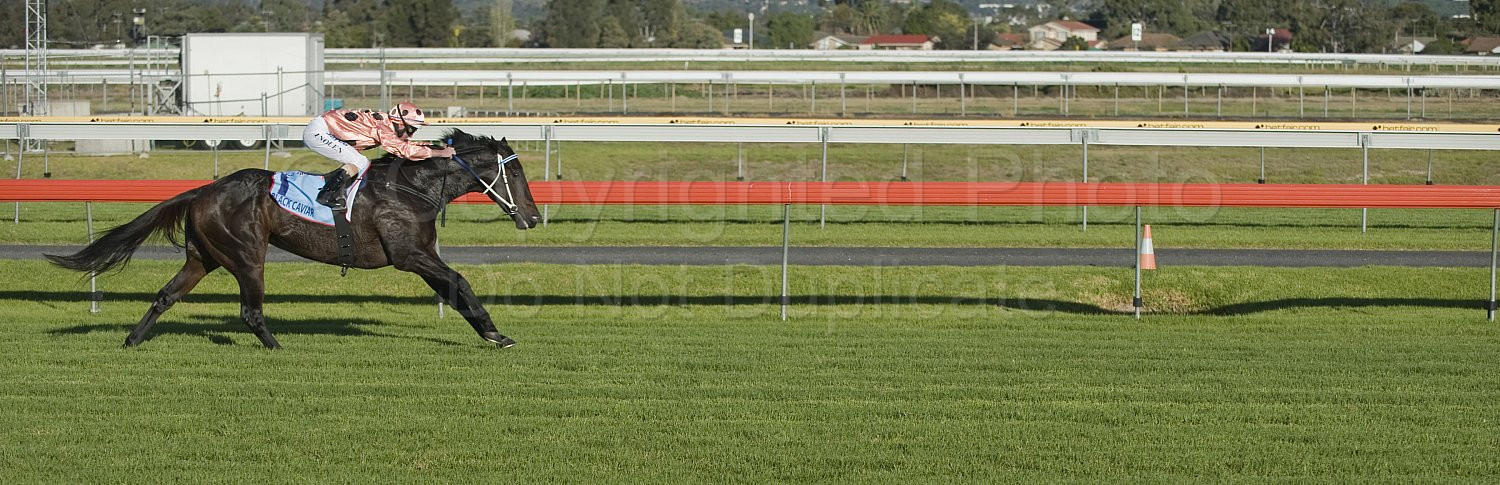 Black Caviar