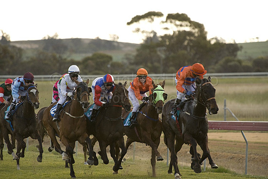 Western Australia, horse, horse racing, racing, york