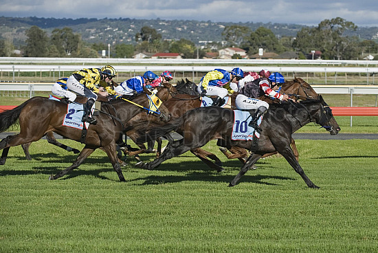 Morphettville Races