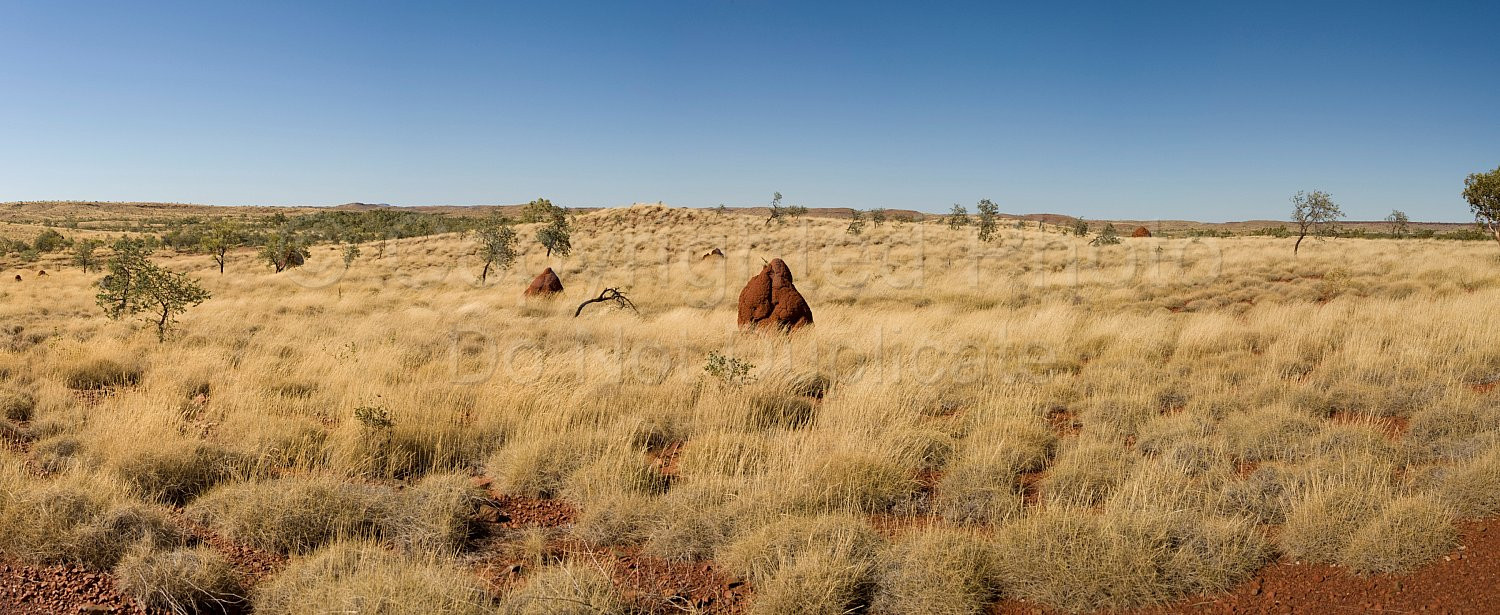Pilbara Landscape