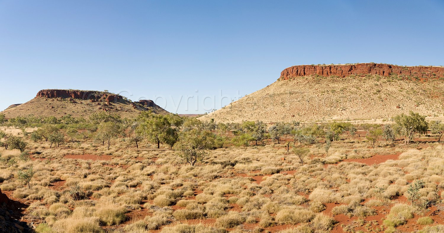 Pilbara Landscape