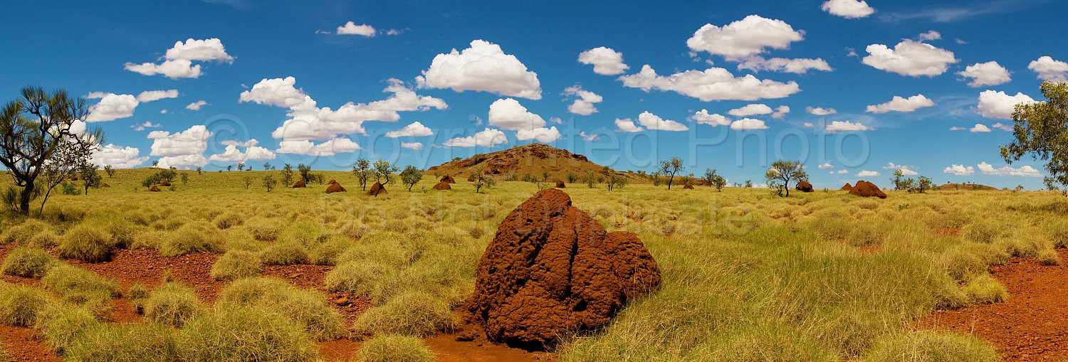 Pilbara Landscape