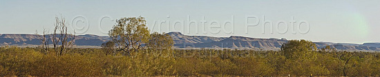 Pilbara Landscape