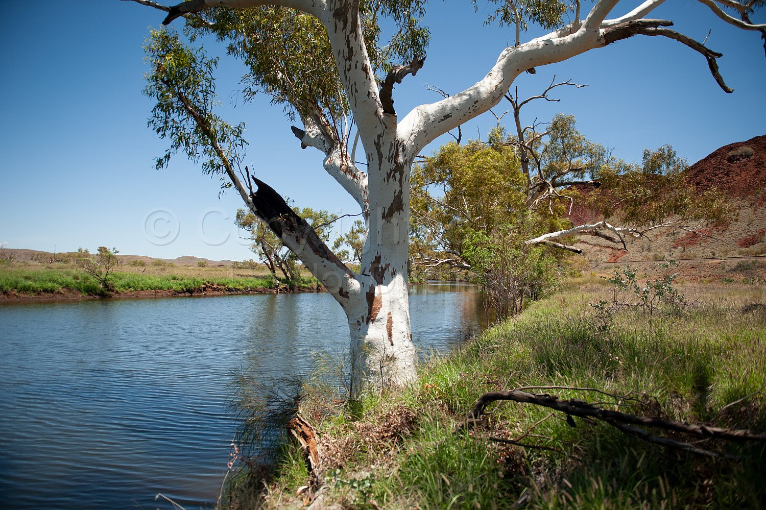 Pilbara Lanscape