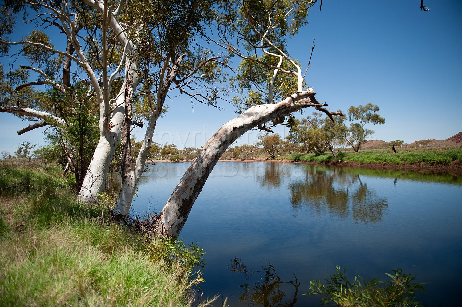 Pilbara Lanscape