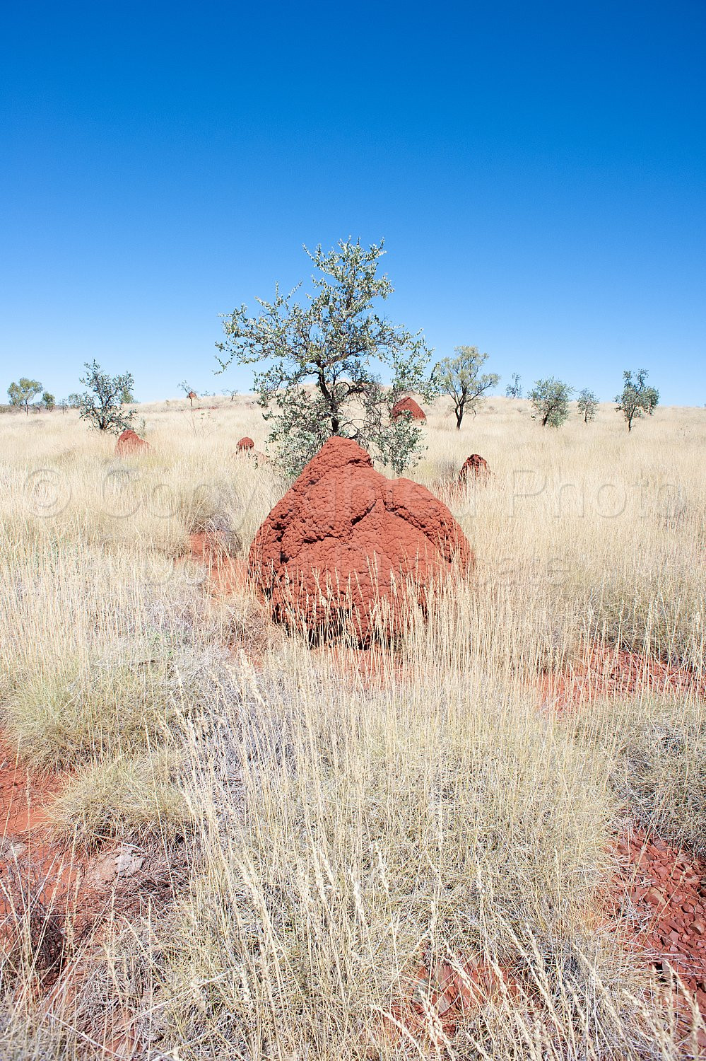 Pilbara Lanscape
