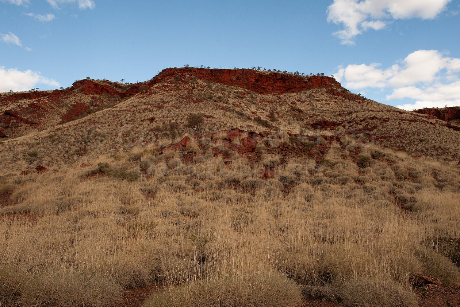 Pilbara Lanscape