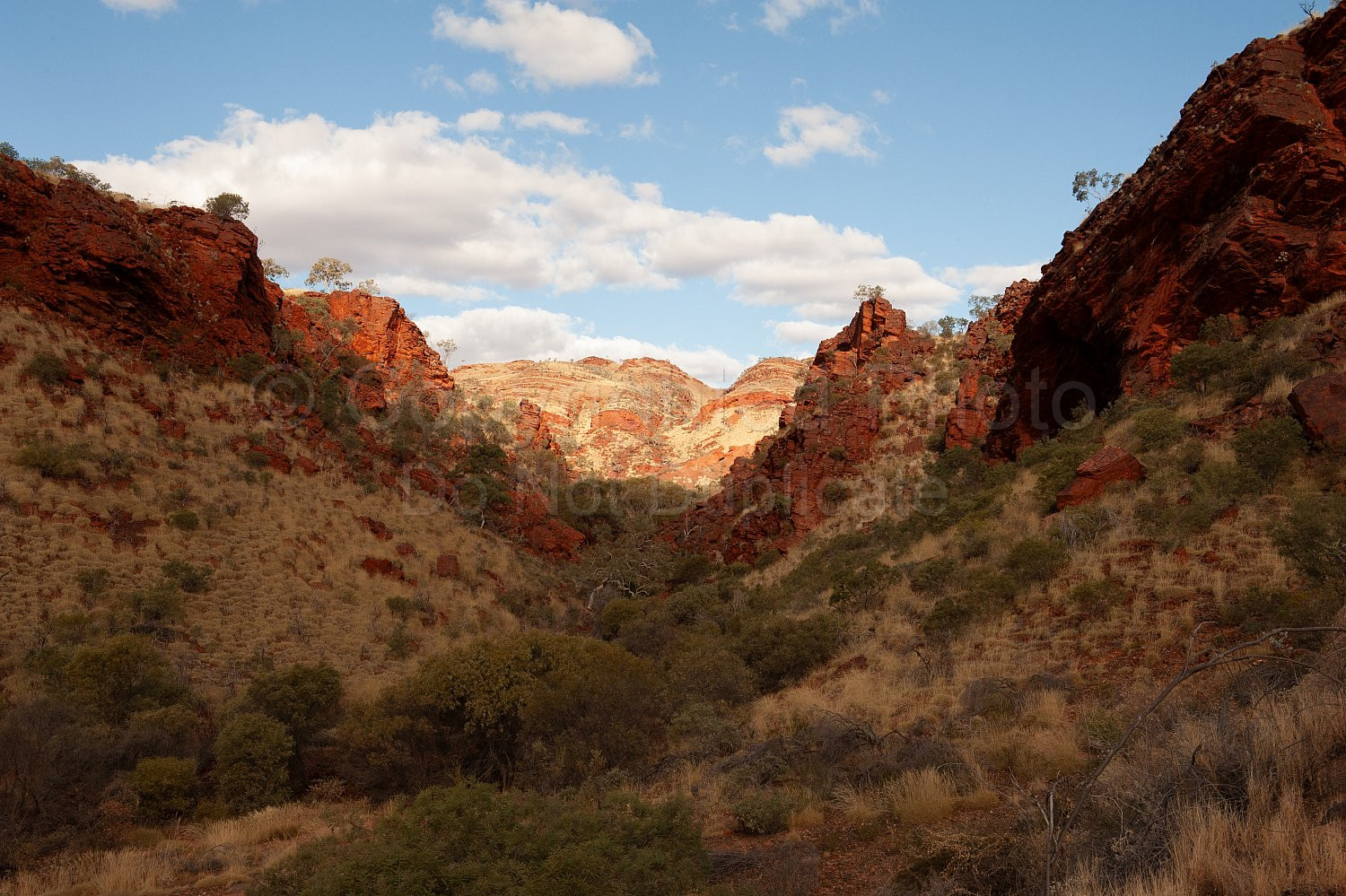 Pilbara Lanscape
