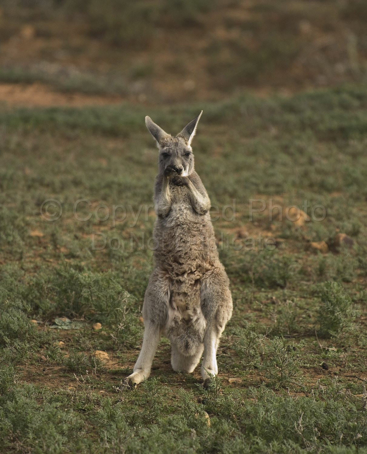 Flinders Ranges