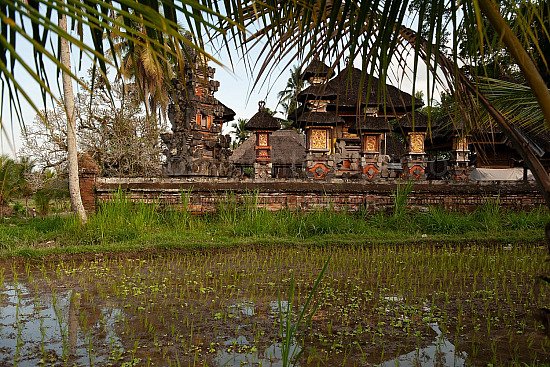 Bali
