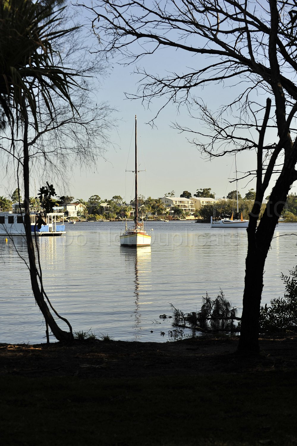 Noosa river