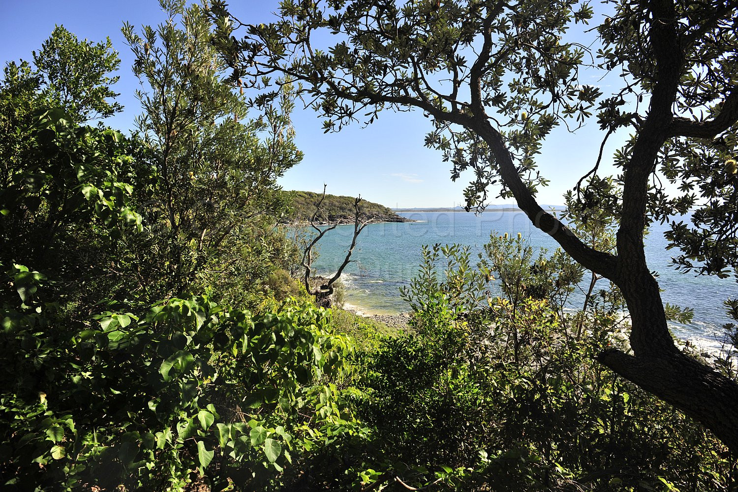 Noosa beach