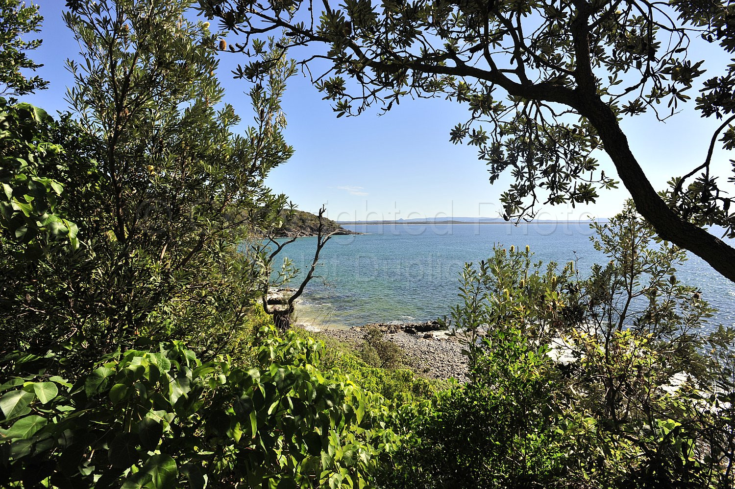 Noosa beach