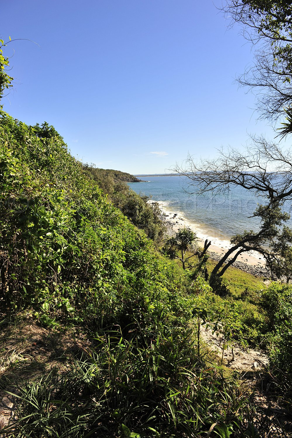 Noosa beach