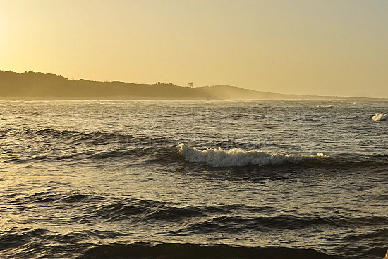 Noosa beach