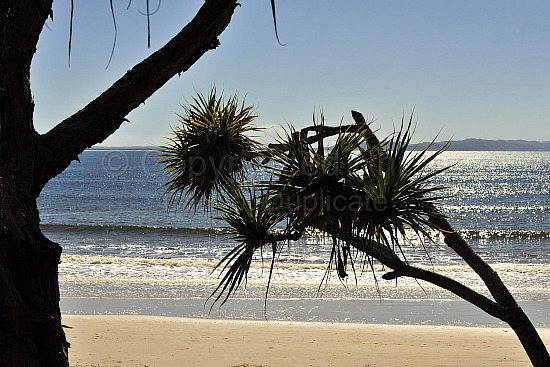Noosa beach
