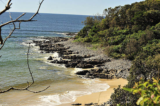 Noosa beach