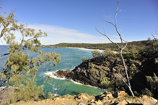 Noosa beach