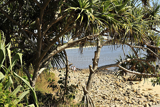 Noosa beach