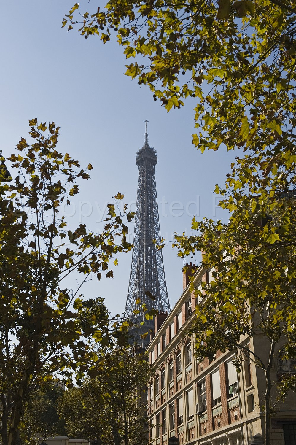 Paris Scenery