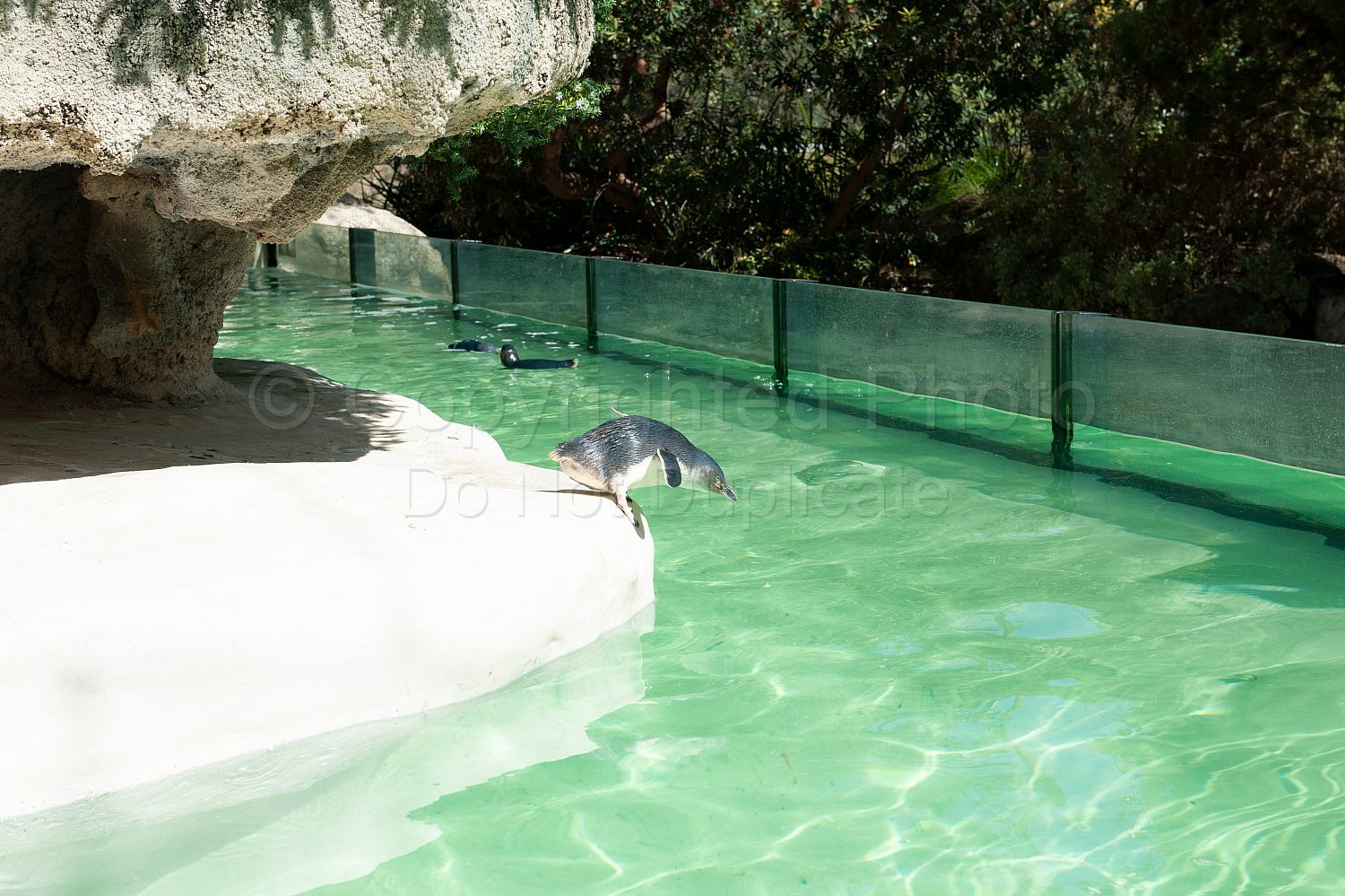Perth Zoo