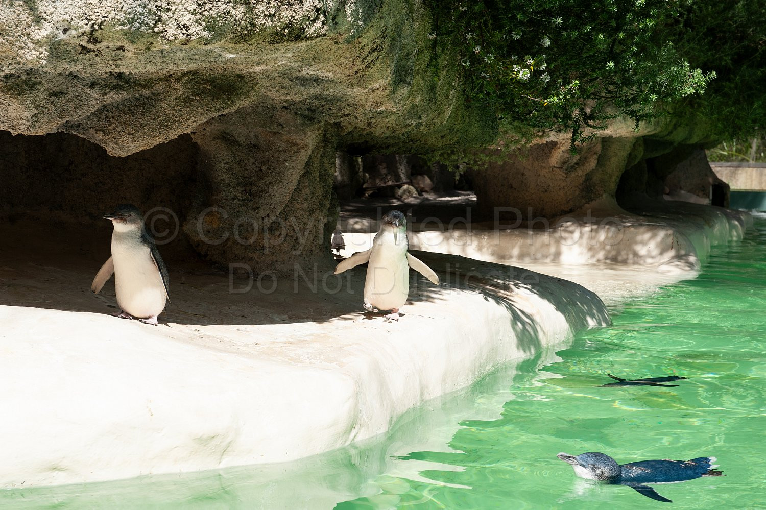 Perth Zoo