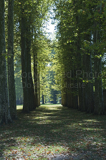 Palace of Versailles