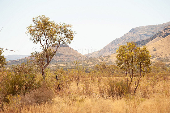 Pilbara railways and mining