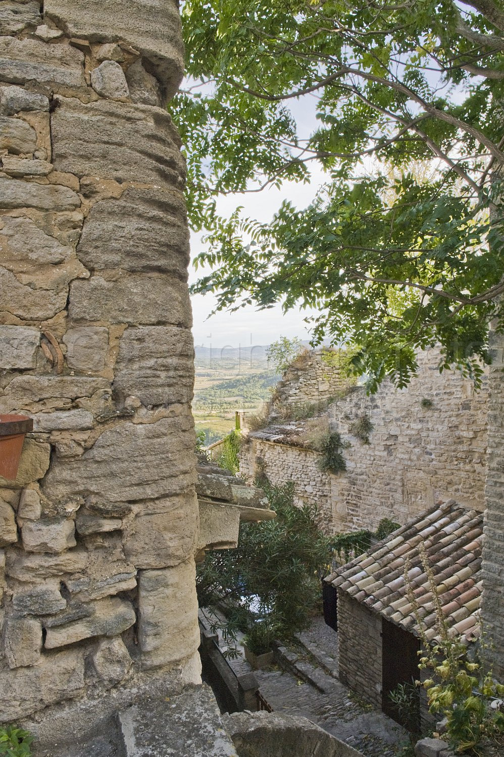 Provence Scene