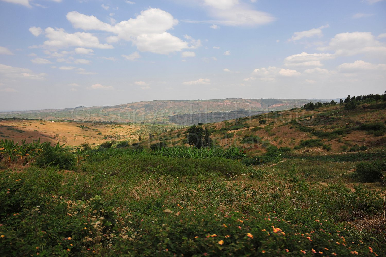 Rwanda images