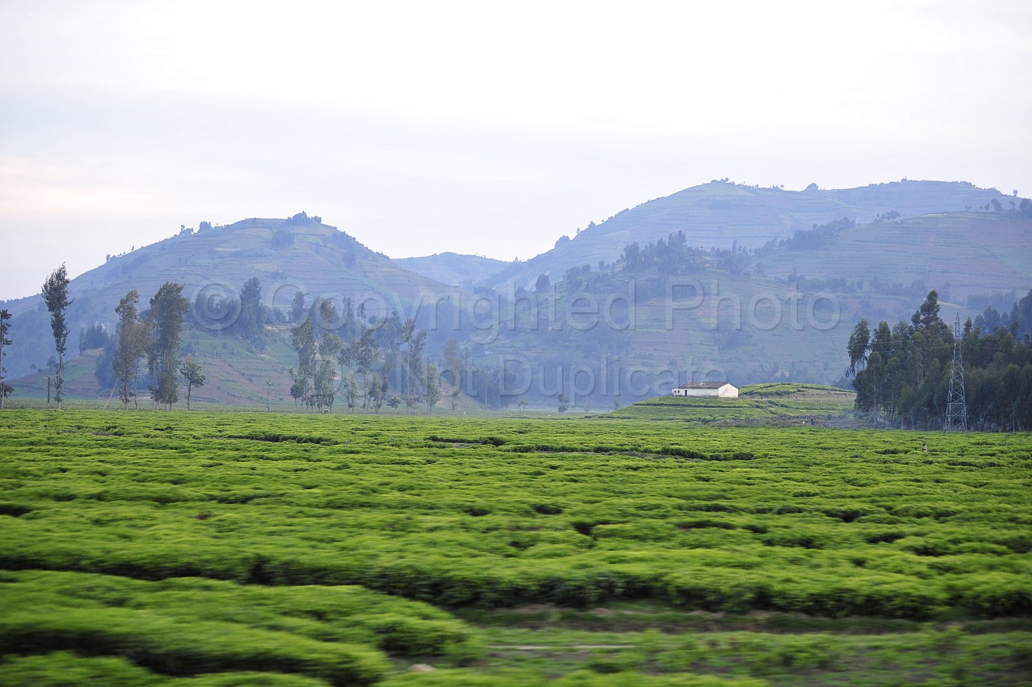 Rwanda images
