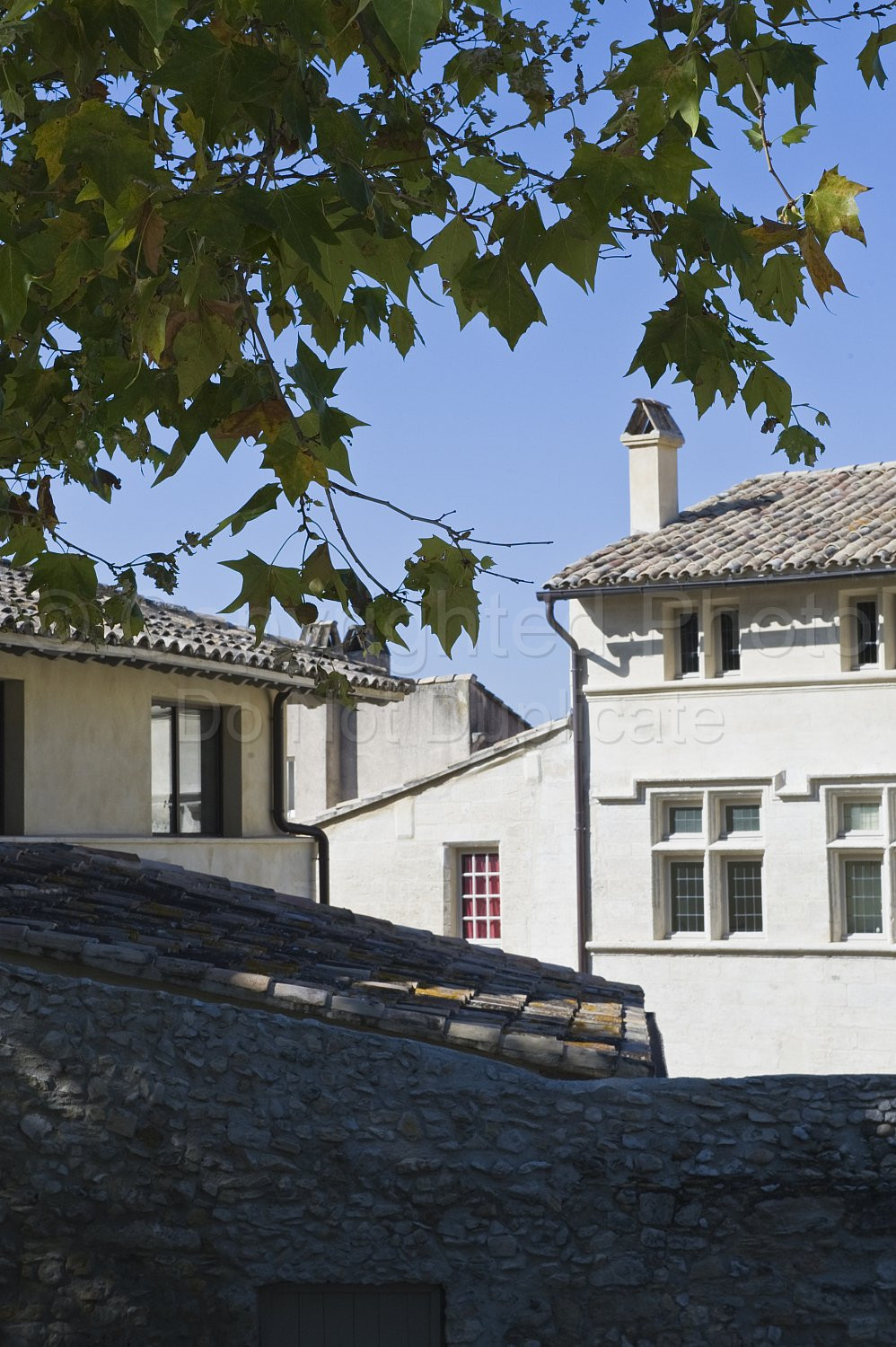 Provence Scene