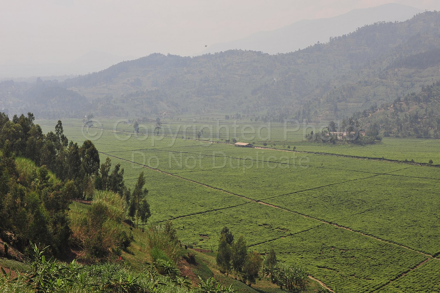 Rwanda images