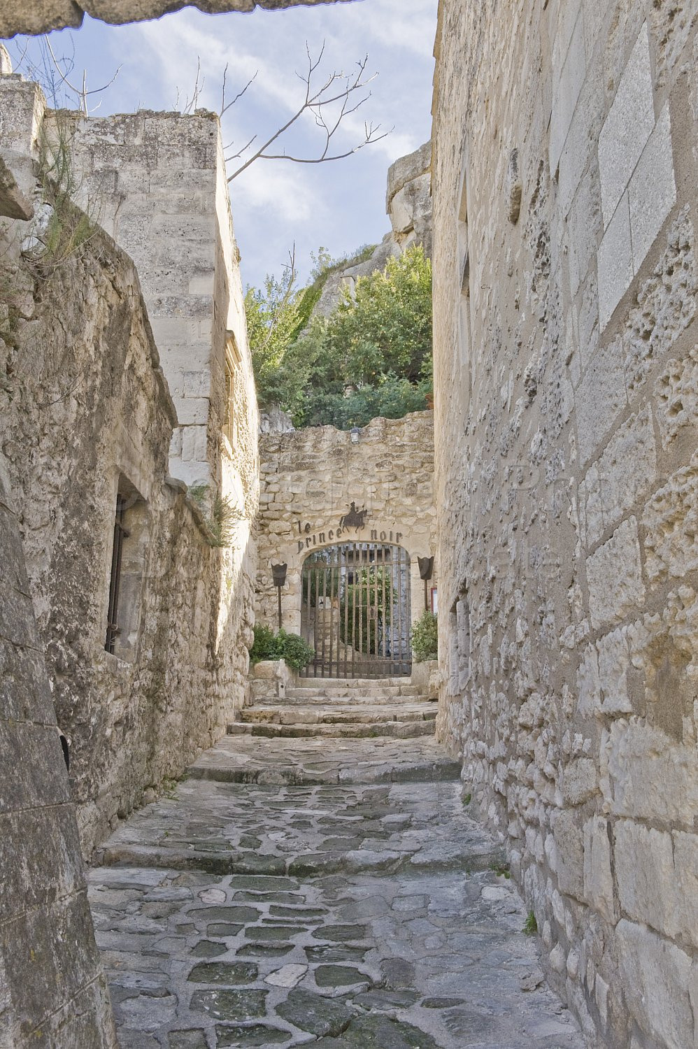 Provence Scene
