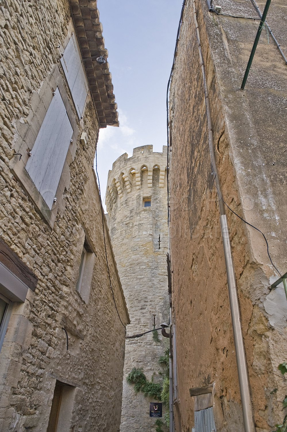 Provence Scene
