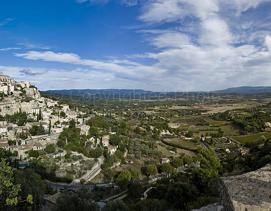 Provence Scene