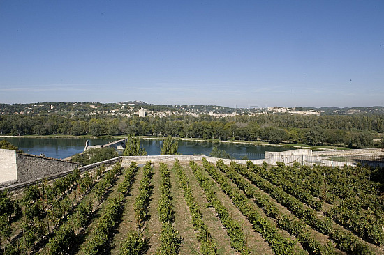 Provence Scene
