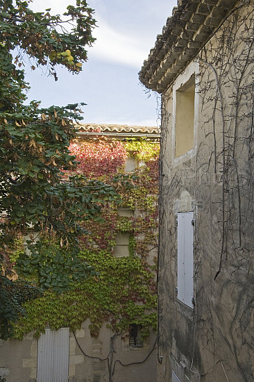 Provence Scene