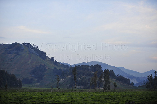 Rwanda images