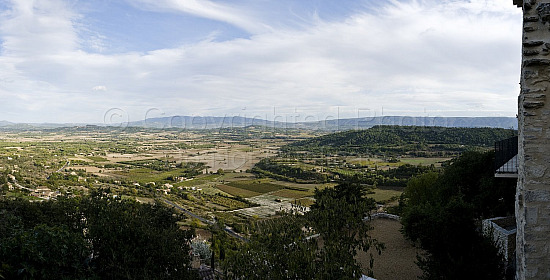 Provence Scene